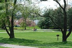 Green space with people riding bicycles in the distance