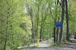 A trail going through the trees with a sign