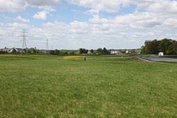 Green space next to a road